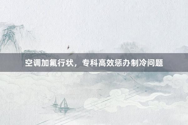 空调加氟行状，专科高效惩办制冷问题