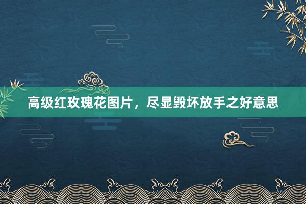 高级红玫瑰花图片，尽显毁坏放手之好意思