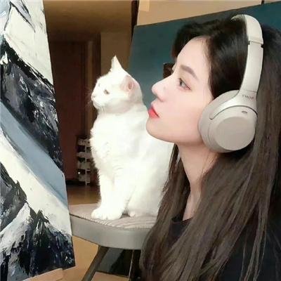 墨爷，夫人又搞事情了